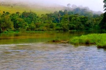 cfid-afrique-environnement.jpg